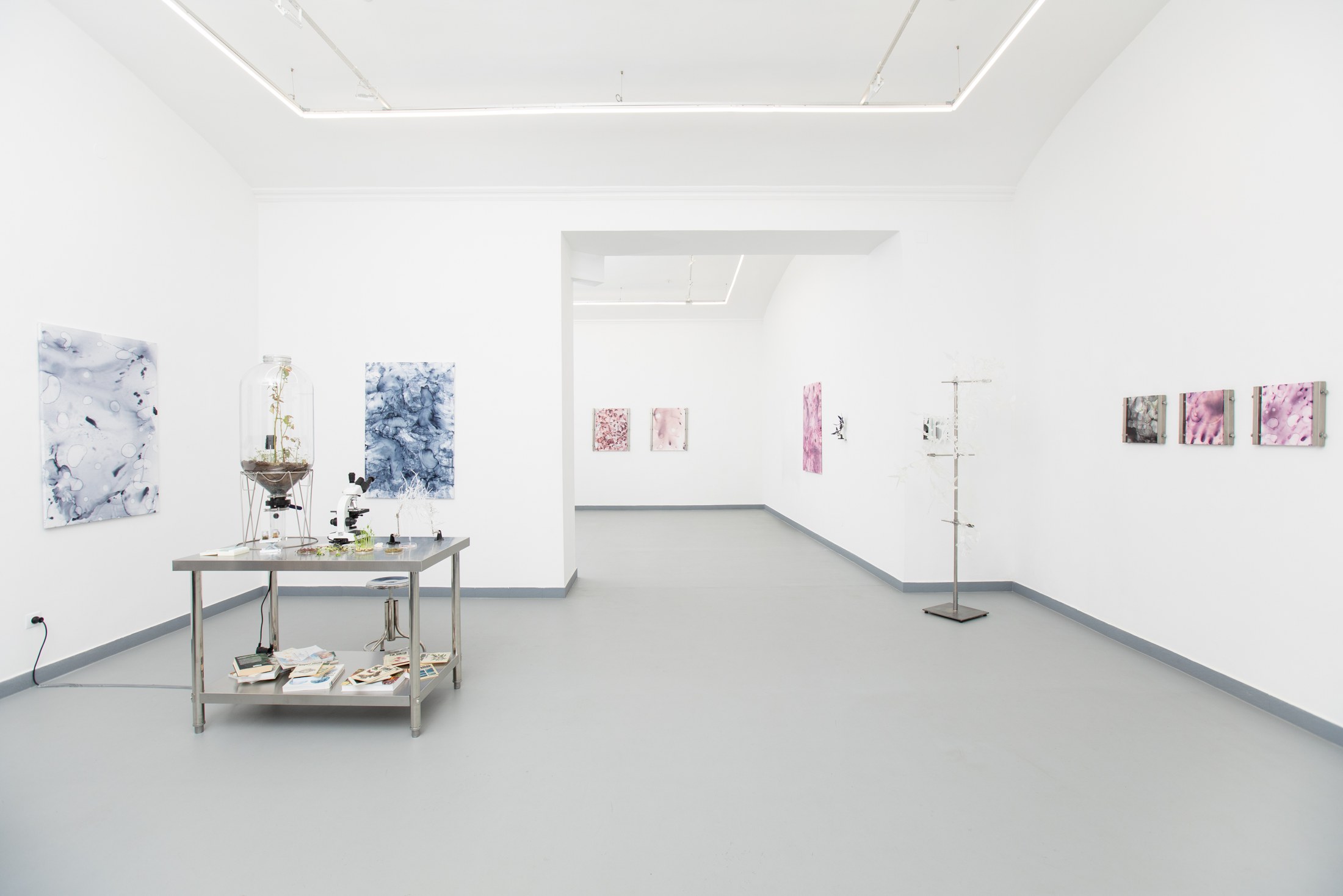 Wide installation view with laboratory table and paintings