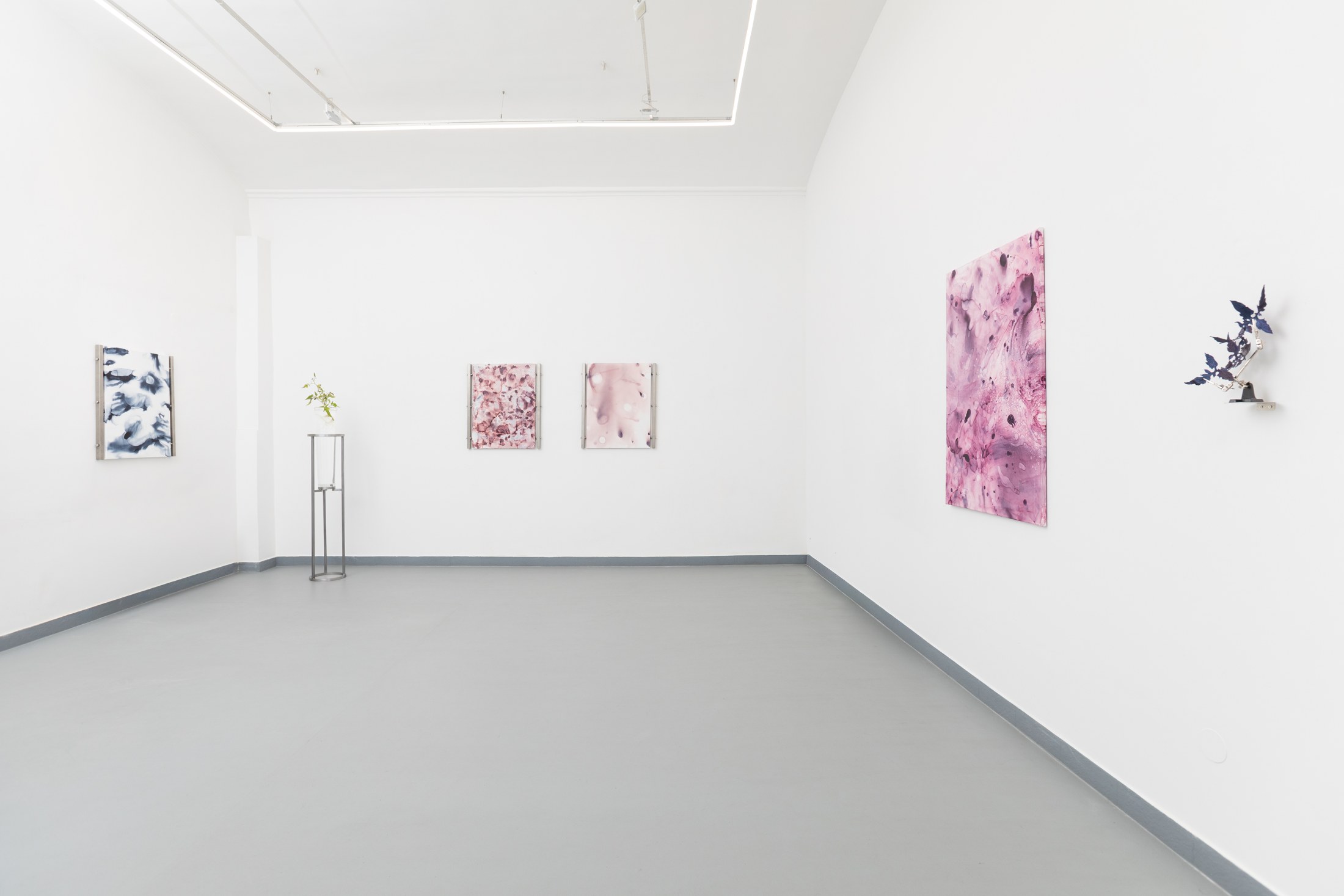 Pink organic paintings and plant display