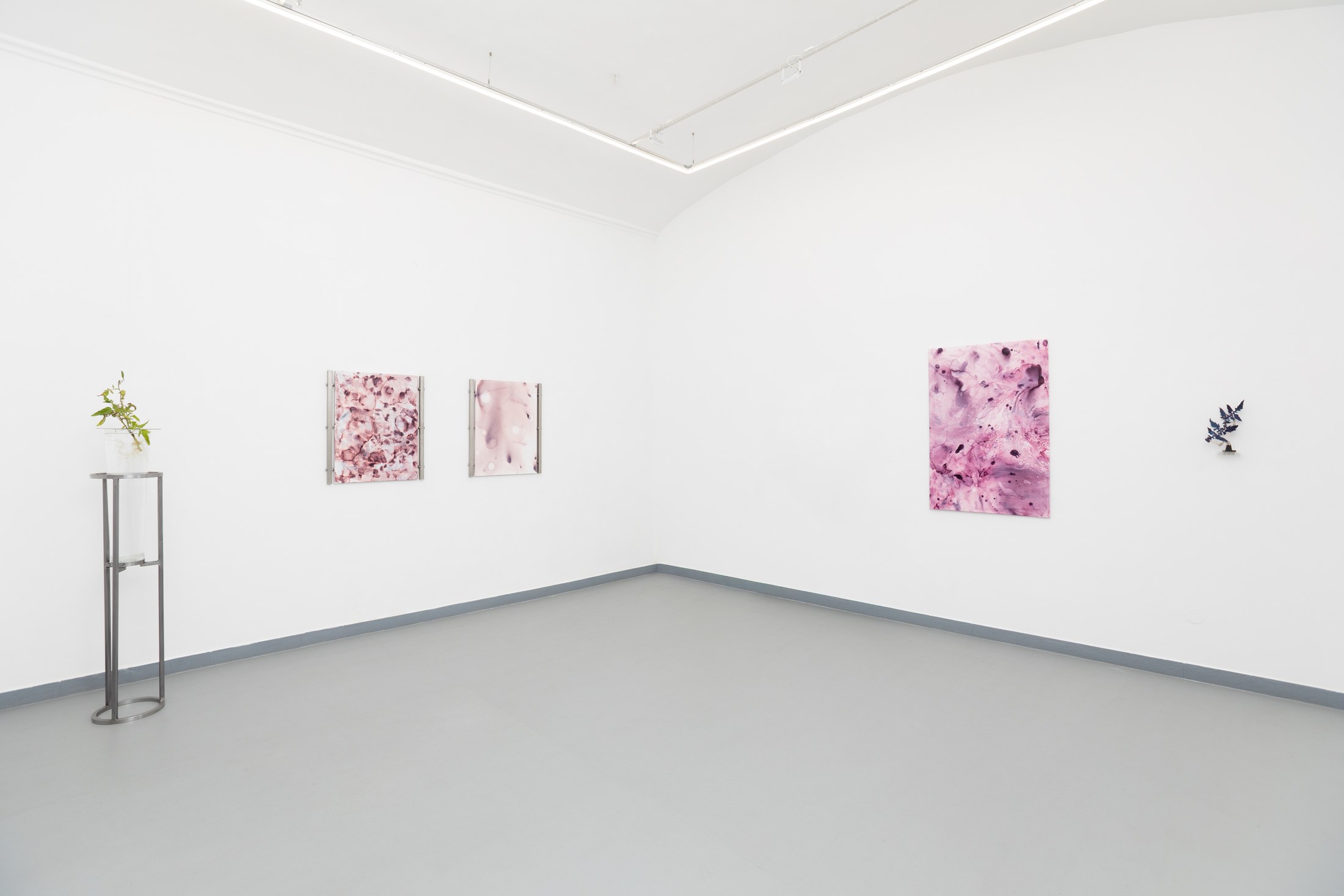 Corner view of pink paintings and a plant on a stand