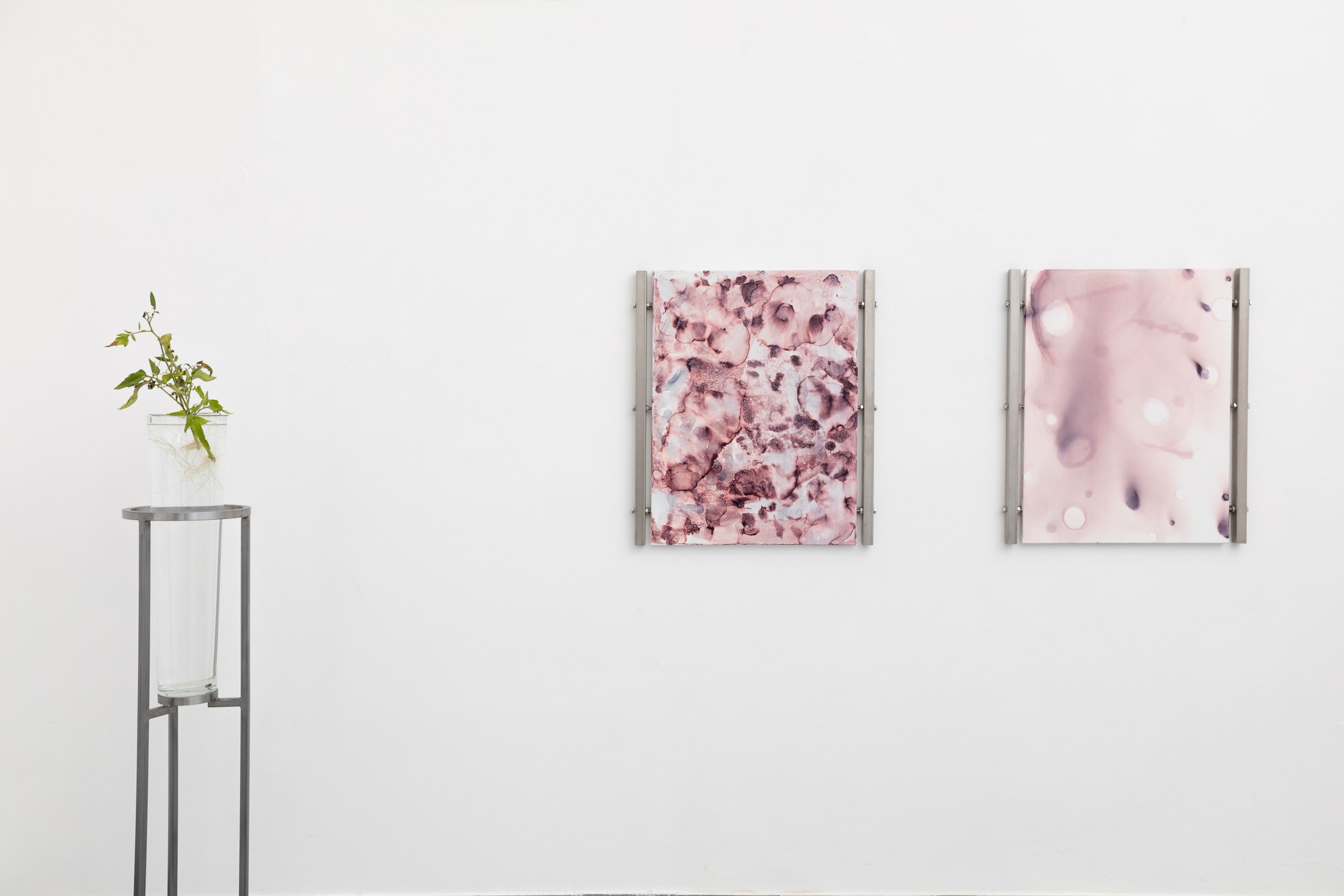Two pink paintings beside a plant display
