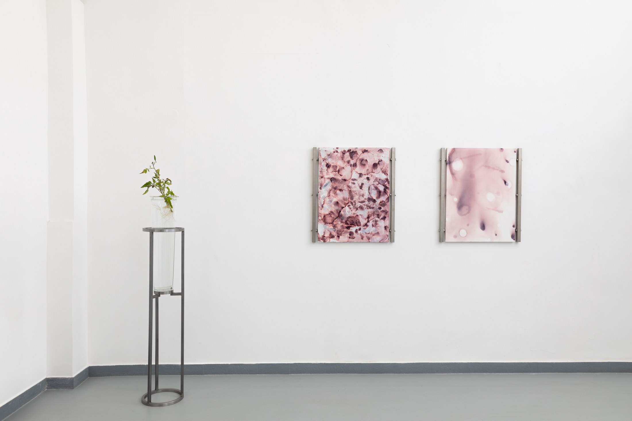 Plant vessel and pink paintings in the gallery