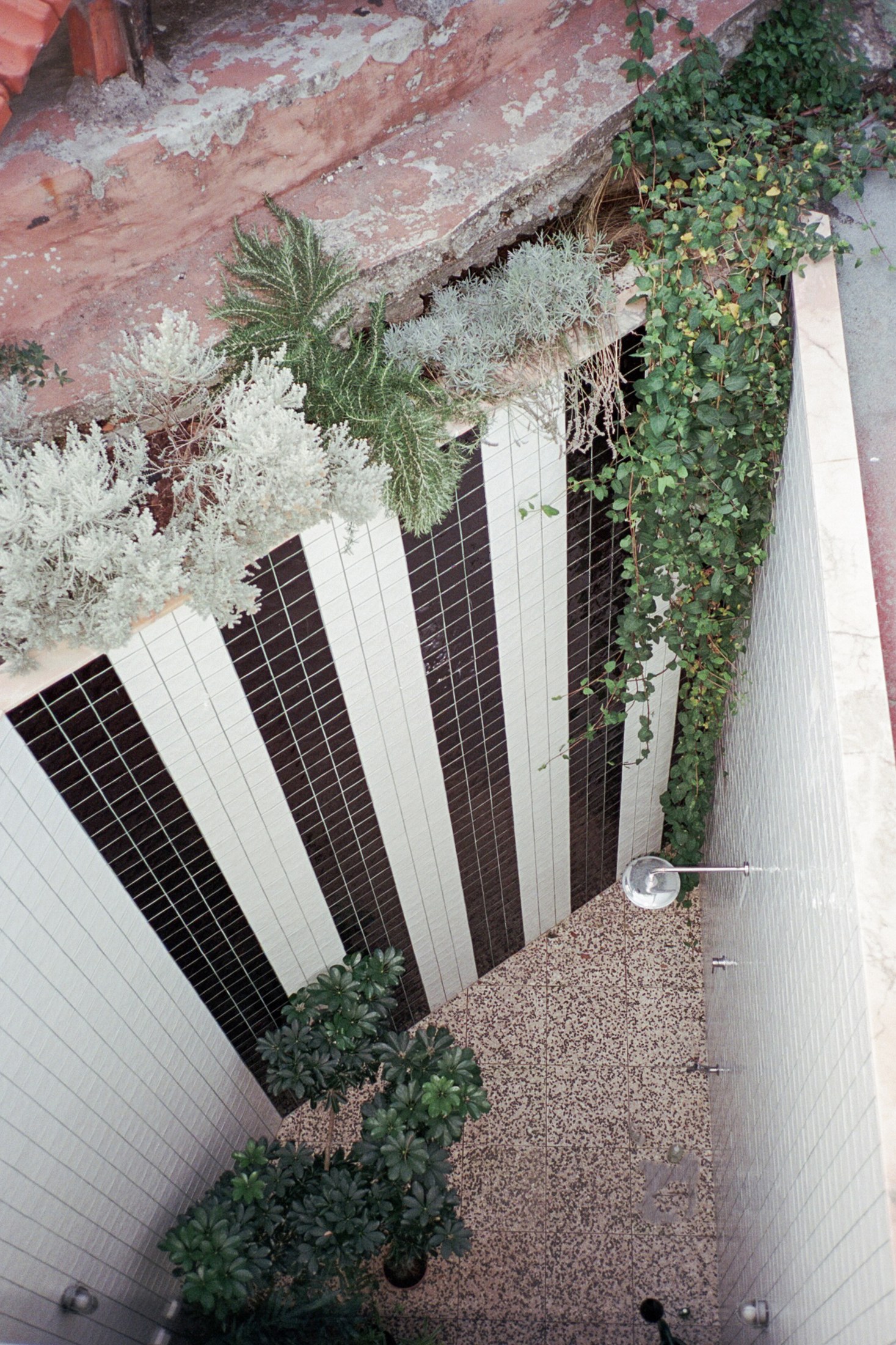 patio at House around a column by fala