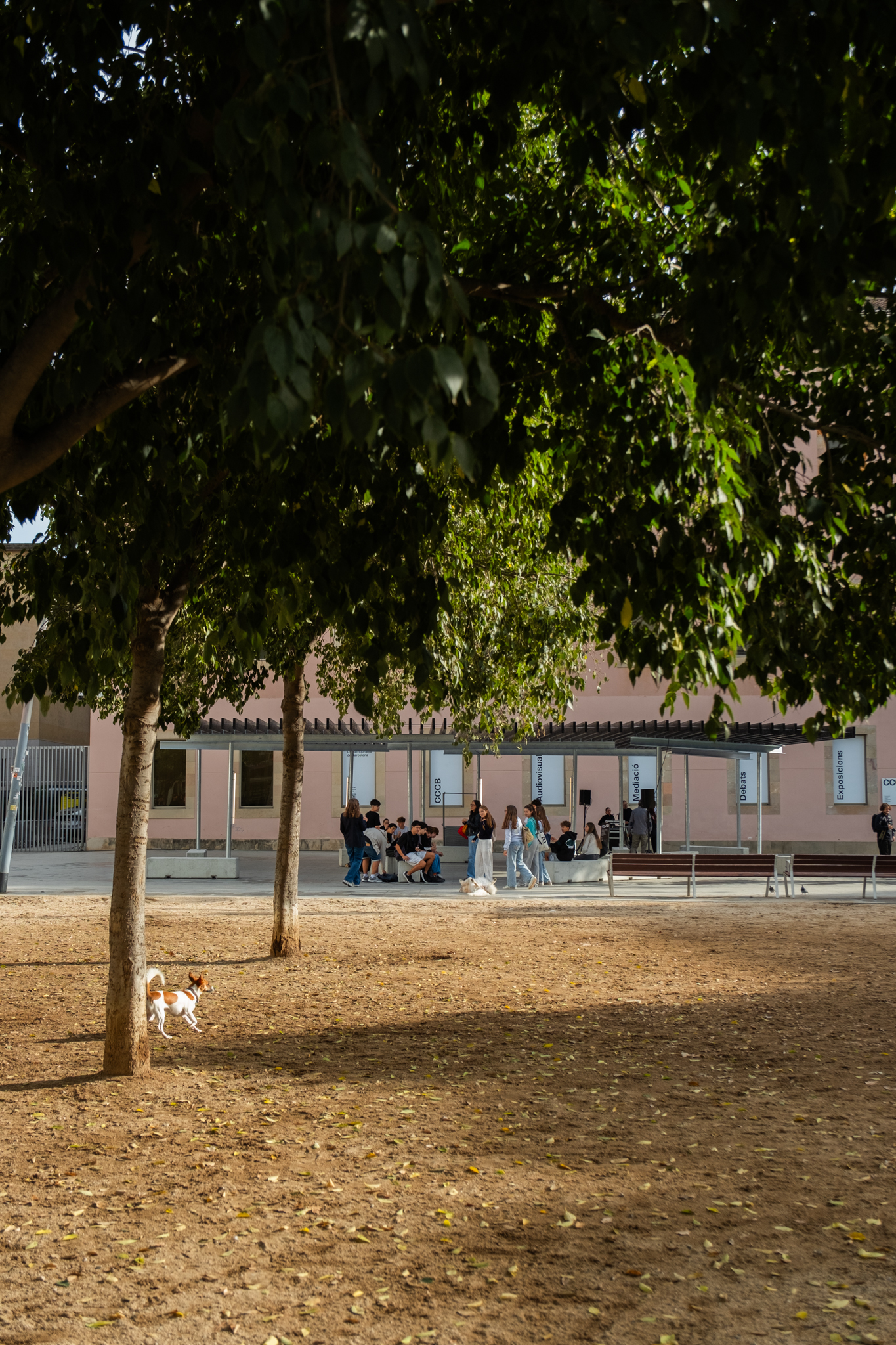Una sombra improbable pavilion in Barcelona, photograph by José Guilherme Marques