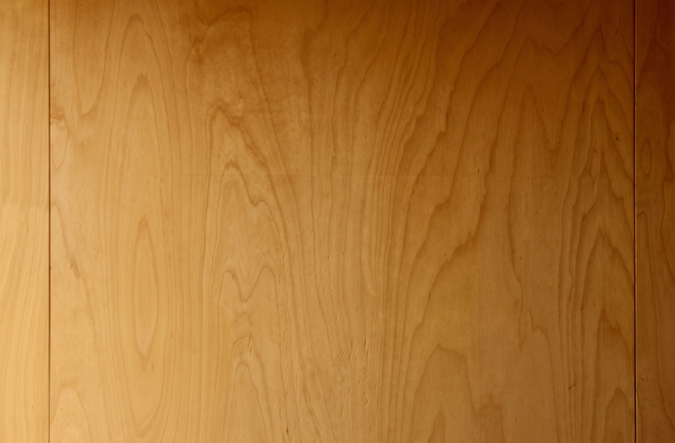 Birch plywood grain and flush panel junction