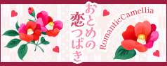 202601RomanticCamellia-banner