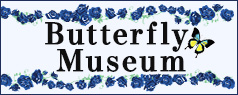 202607ButterflyMuseum-banner
