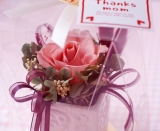 初めての母の日。