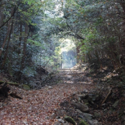 「こんな素敵な景色に出会えました。」秋を感じたエピソード＆秋フォト大募集　～みなさんが見つけた秋、教えてください！～の投稿画像