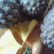 「秋を感じたエピソード」秋を感じたエピソード＆秋フォト大募集　～みなさんが見つけた秋、教えてください！～の投稿画像