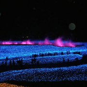 「オーロラ」秋を感じたエピソード＆秋フォト大募集　～みなさんが見つけた秋、教えてください！～の投稿画像