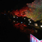 「鏡池」秋を感じたエピソード＆秋フォト大募集　～みなさんが見つけた秋、教えてください！～の投稿画像