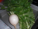 節約の心が生んだ私の大根♪