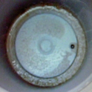 「ポットの洗浄には安全なものを使いたいです。」扶桑ヘルスケアから★フソウのクエン酸で、ポット、キラキラ♪の投稿画像