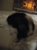 冬のベランダでのひめっち♪