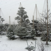 「雪づり」【大好評フォトコンテスト第２弾!!】 冬を感じたエピソード＆フォト大募集☆の投稿画像