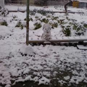 「冬のはじまり☆」【大好評フォトコンテスト第２弾!!】 冬を感じたエピソード＆フォト大募集☆の投稿画像