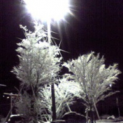 「雪の夜」【大好評フォトコンテスト第２弾!!】 冬を感じたエピソード＆フォト大募集☆の投稿画像