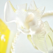 「優しい大人の女性のイメージ ニナリッチのレールデュタン」ご愛用中の香水の画像を下さい！優勝者にはグリーンティ30mlをプレゼントの投稿画像