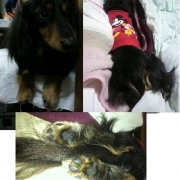 「ぼく、アクア」我が家のペット画像大募集！上位3名盛田屋オリジナル「ペットシャンプー」プレゼントの投稿画像