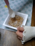 我が家の納豆(関西では・・・）