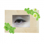 華のない瞳に目力をください！！