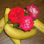 「オフジェなバナナ。」バナナのベストショット写真募集！？【10名】モニターの投稿画像