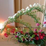 「春のゆらゆら　そよそよと柔らかさを表現」【5月限定】花や緑の画像大募集～ドイツ底面かん水プランターレチューザプレゼント～の投稿画像