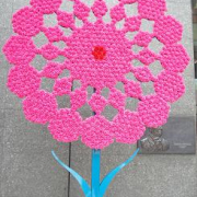 「ＭＩＫＩＭＯＴＯ」【5月限定】花や緑の画像大募集～ドイツ底面かん水プランターレチューザプレゼント～の投稿画像