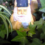 「5月といえば・・・　　新緑の季節ですな～～♪」【5月限定】花や緑の画像大募集～ドイツ底面かん水プランターレチューザプレゼント～の投稿画像