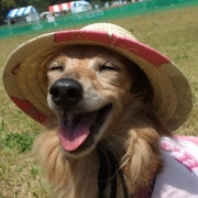 「麦わら笑顔とび子☆」自慢の『わんちゃん』写真投稿してください！入賞者にはエルブオリジナル商品を♪の投稿画像