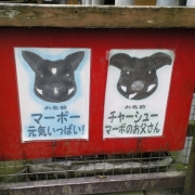 「黒豚ちゃんの名前」【20名様に当たる！】パチリで応募☆「何これ珍百景」フォトコンテスト～！！の投稿画像