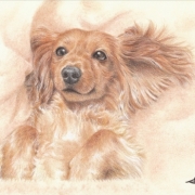 「さくら」フォレカで作る「オリジナル名刺・オリジナルカード」コンテスト♪の投稿画像