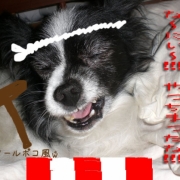 「もうちゃん、クールポコに！」写真にお絵描き 「おもしろ落書き写真」 投票コンテスト開催中！の投稿画像