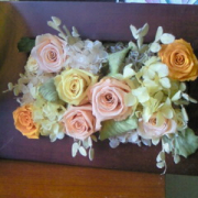 上司からの頂き物♪