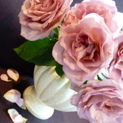 「売り物にならなかった花」【応募者全員にプレゼント有り】身近にあるバラを探してみよう！の投稿画像