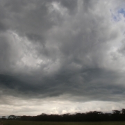 「アフリカ、サファリの雨。」雨の季節を感じるフォト 大募集！ ～みんなで雨の日々を楽しもう～の投稿画像