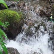 「水の流れに負けないで!!」フォトコンテスト企画！！ミネラルウォーターのある風景大募集☆の投稿画像