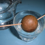 「アボガド君、芽が出るのはいつですか？」フォトコンテスト企画！！ミネラルウォーターのある風景大募集☆の投稿画像