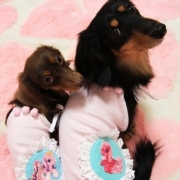 「いつまでも健康でいてほしいから♪」第１弾★自慢の愛犬＆愛猫だからこそ！アディポネクチンで少しでも長生きして欲しい！の投稿画像