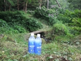 のどかな風景♪