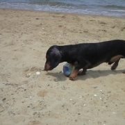 「初めての」【豪華現品】夏にぴったりの美容液！あなたの&rdquo;夏&rdquo;を写真に撮ろう！の投稿画像