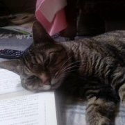 「うちのタラニャン❤」第１弾★自慢の愛犬＆愛猫だからこそ！アディポネクチンで少しでも長生きして欲しい！の投稿画像