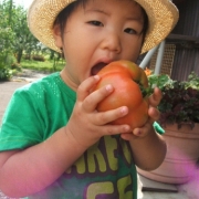 「もうまちきれません。」【食塩無添加☆さっぱりだしのモデルファミリー大募集】お子様の食欲自慢コンテストの投稿画像