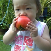 「あたしのトマトよ！」「トマトは好きですか？」キッズモデル大募集!!の投稿画像