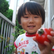 「トマト、採れたよ！！」「トマトは好きですか？」キッズモデル大募集!!の投稿画像