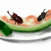 「夏！虫！スイカ！」夏休みと言えば・・・ 「夏を感じるイラスト画像」 投稿コンテスト開催中！の投稿画像