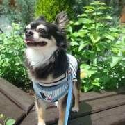 「夏旅行にて♪」「残暑お見舞い申し上げます！」なフォト大募集！の投稿画像