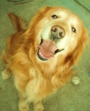 ボールで遊ぼう！！