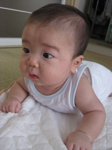 ハイハイの練習中～♪