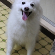 「お風呂も一緒☆」かわいいペットのお見合い写真大募集！！【第３回 Myペット フォトコンテスト】の投稿画像